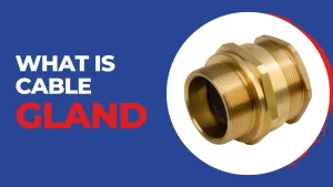 Read more about the article What Is Cable Gland