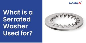 Read more about the article What is a Serrated Washer Used for?