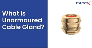 Read more about the article What is Unarmoured Cable Gland?