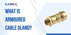 Read more about the article What is Armoured Cable Gland?