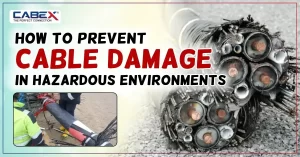 Read more about the article How To Prevent Cable Damage in Hazardous Environments