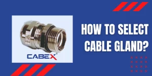 Read more about the article How to Select Cable Gland?