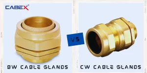 Read more about the article What Is the Difference Between Bw and Cw Cable Glands?