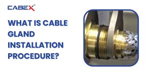 Read more about the article What is Cable Gland Installation Procedure?