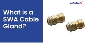 Read more about the article What is a SWA Cable Gland?