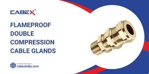 Read more about the article Flameproof Double Compression Cable Glands