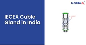 Read more about the article IECEX Cable Gland in India