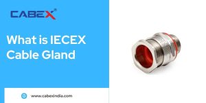 Read more about the article What is IECEX Cable Gland?