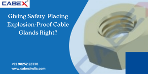 Read more about the article Giving Safety  Placing Explosion-Proof Cable Glands Right?